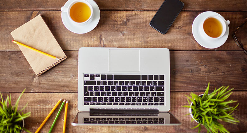 Digital Marketing Agency and SEO Services in Michigan